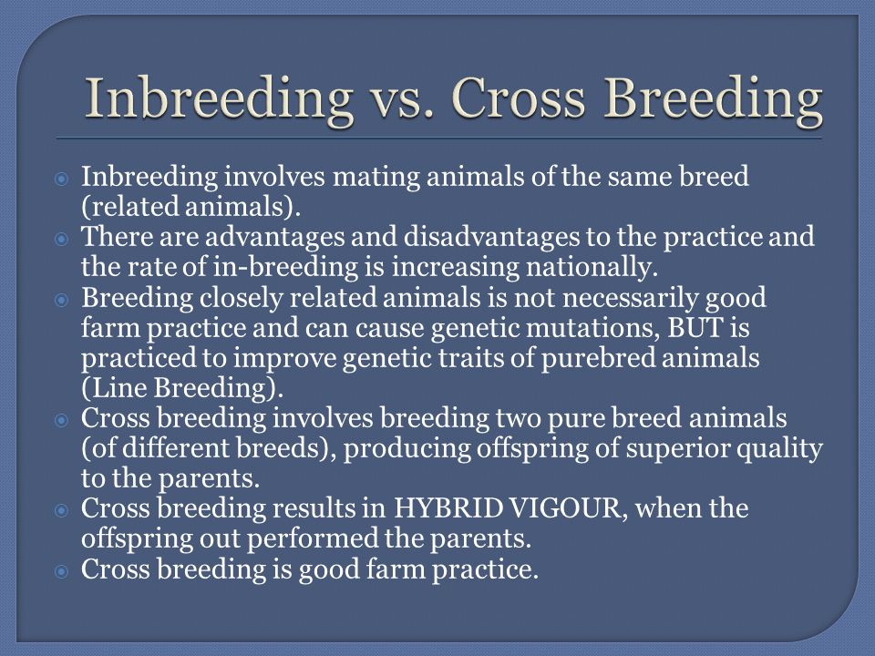 Advantages and disadvantages of cross breeding in crops